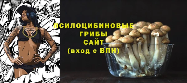 2c-b Армянск